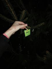 Mirna, prizig luck, foto EZ (6)